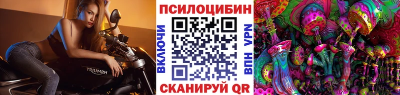 Купить закладки  Троицк  Псилоцибиновые грибы Psilocybine cubensis 